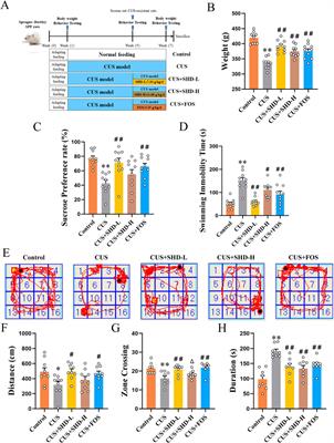 Microbiota-derived tryptophan metabolism and AMPK/mTOR pathway mediate antidepressant-like effect of Shugan Hewei Decoction